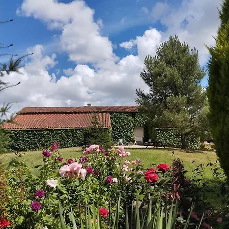 Vakantiehuis Maison Au Calme Avec Vue Etang Clesse (Deux-Sevres)